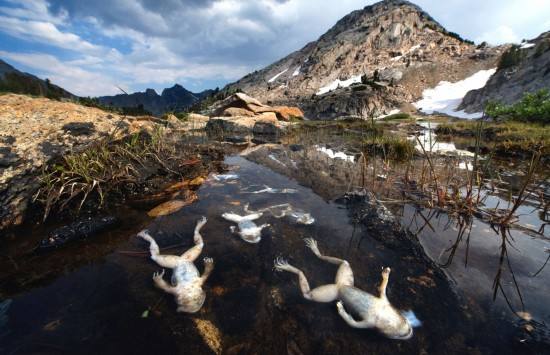 環(huán)境檢測機構 環(huán)境檢測機構