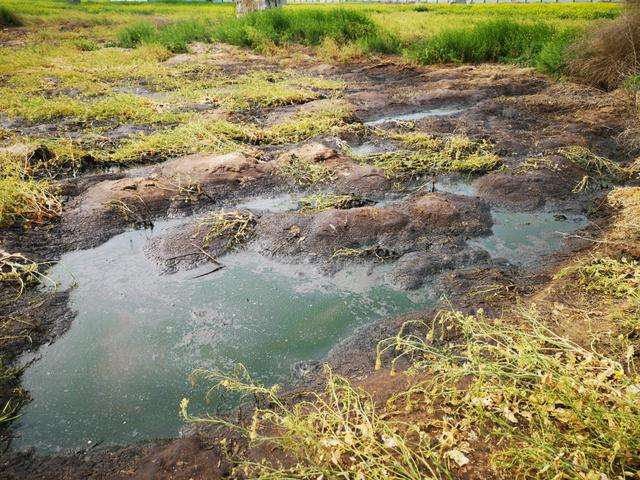 工業(yè)污水檢測 工業(yè)污水檢測