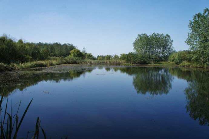 深圳水質(zhì)檢測 深圳水質(zhì)檢測