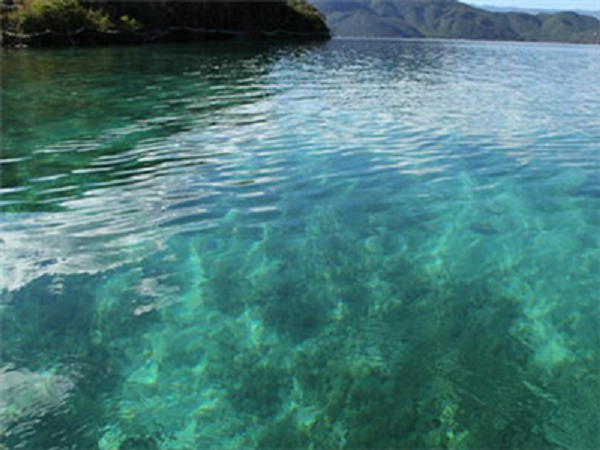 深圳污水檢測(cè) 深圳污水檢測(cè)