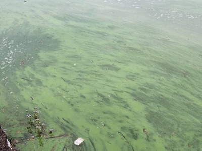 深圳水質(zhì)檢測(cè)機(jī)構(gòu) 深圳水質(zhì)檢測(cè)機(jī)構(gòu)