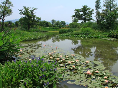深圳廢水檢測 深圳廢水檢測
