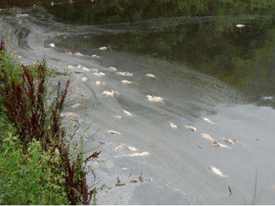 深圳水質檢測 深圳水質檢測